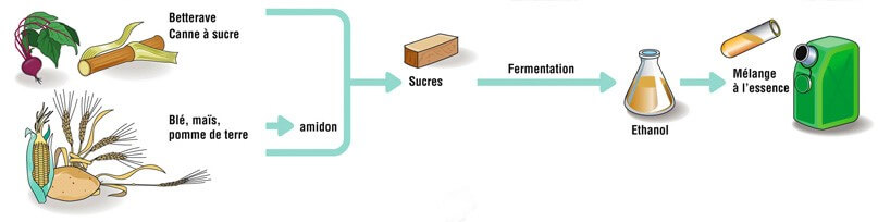 1 schema bioethanol