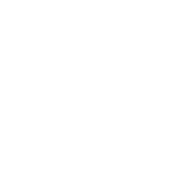 Man Trucks