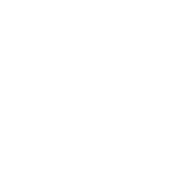 Zontes